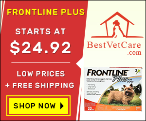 High Quality Pet Food with Free Shipping