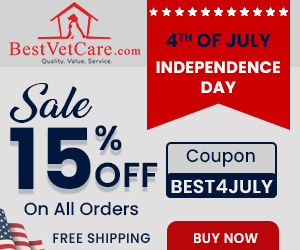 Amazing Discount on independence day!